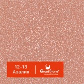 12-13-Азалия