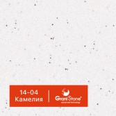 14-04-Камелия