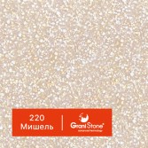 220-Мишель