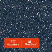 227-Черника