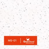 MS-01