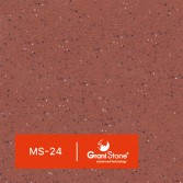 MS-24