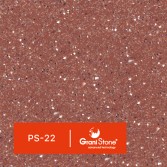 PS-22