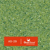 as-29-